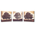 Multi-panel Natural Trees Canvas Print Decor For Living Room Ready to Hang